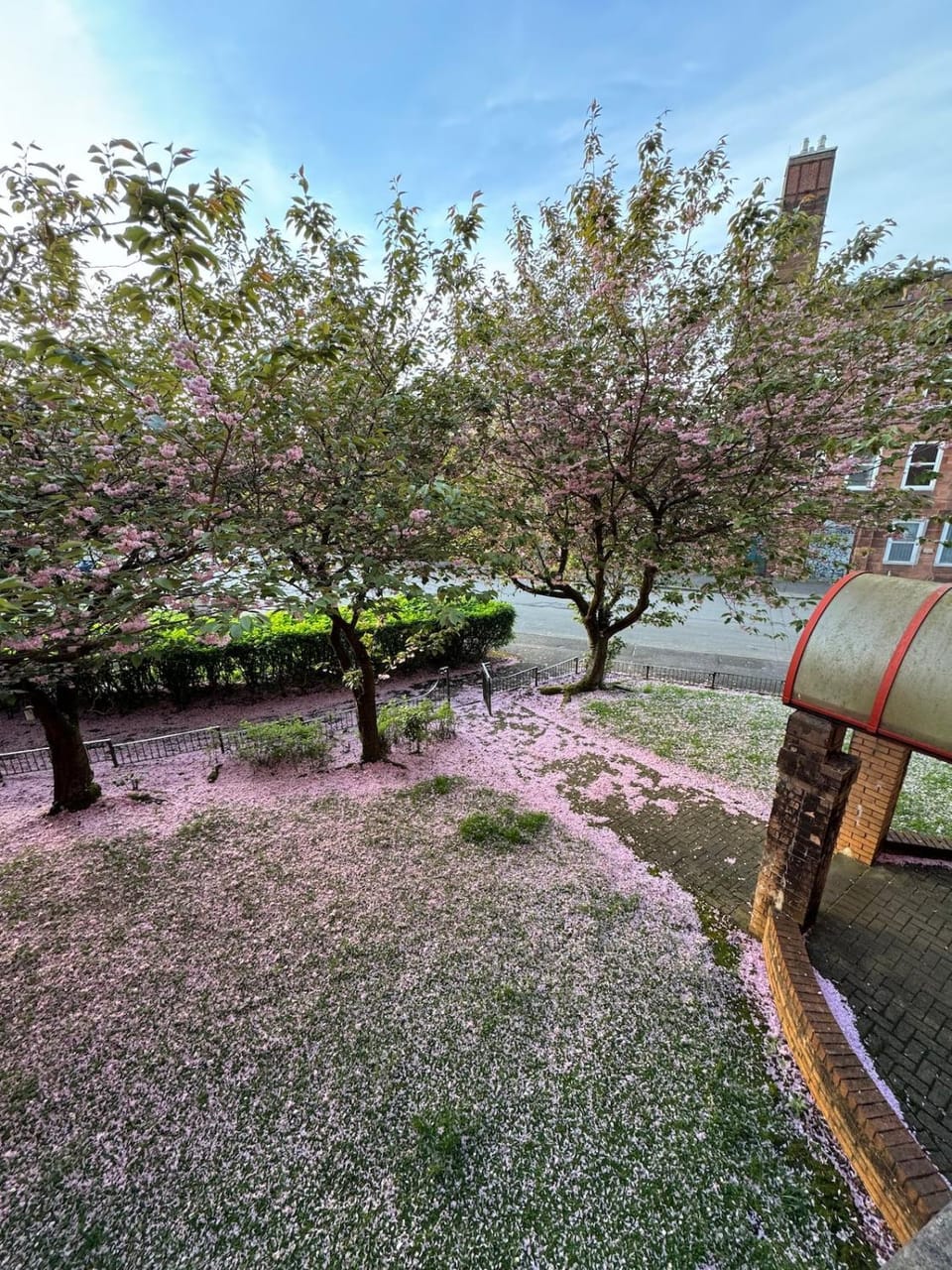 Spring, Day, Natural landscape, Garden, Garden view