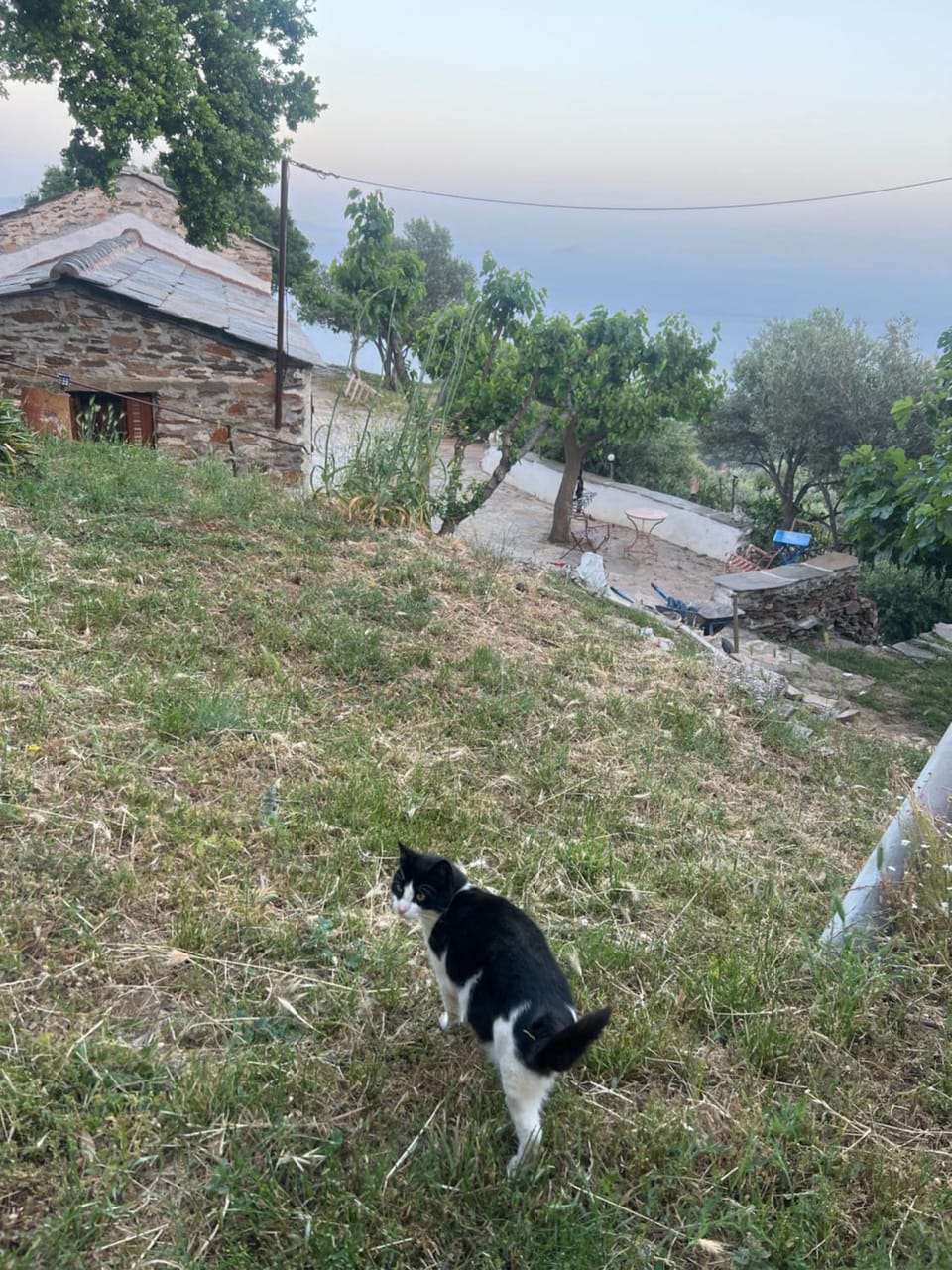 Ikarian traditional house House in Icaria
