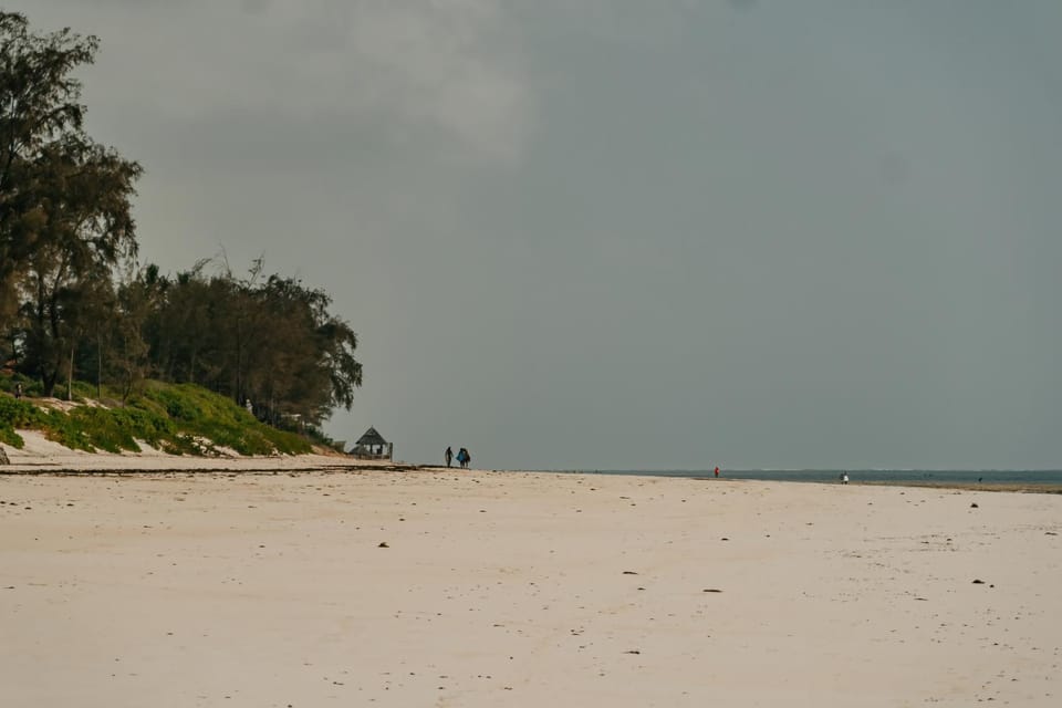Day, People, Natural landscape, Beach, Beach, Sea view, group of guests