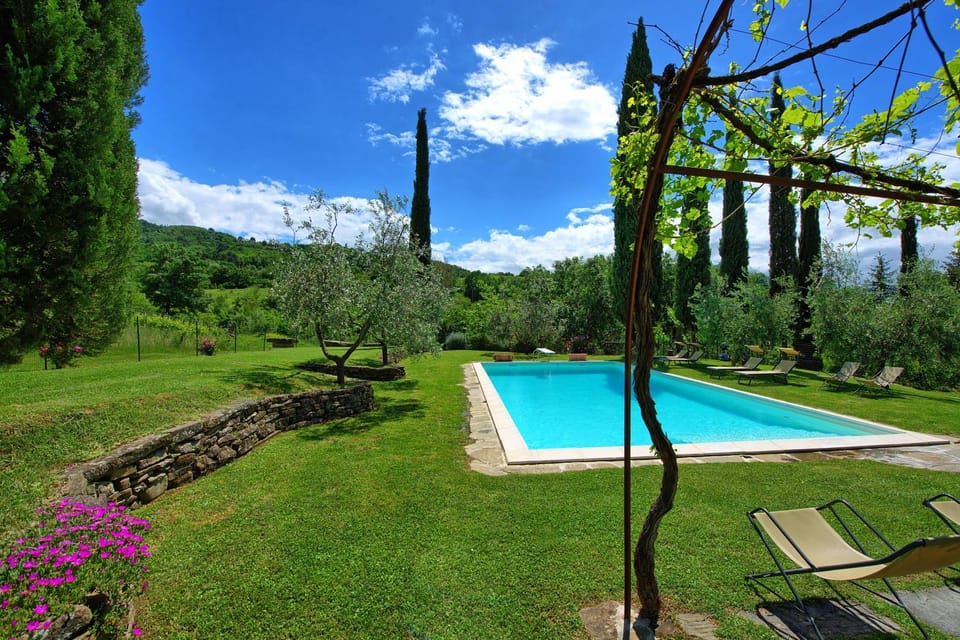 Natural landscape, Garden, Garden view, Pool view, Swimming pool, sunbed