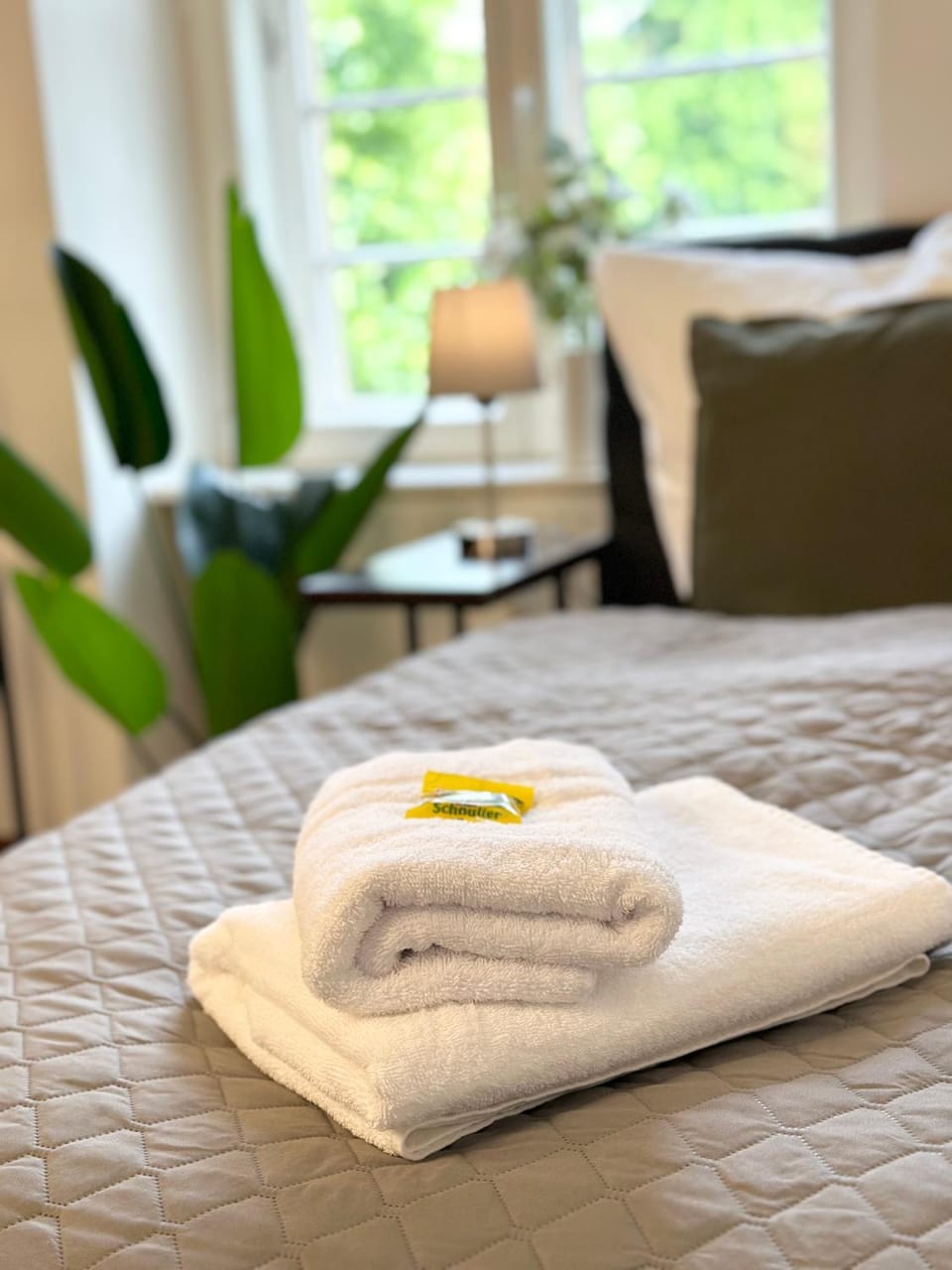 Bed, towels