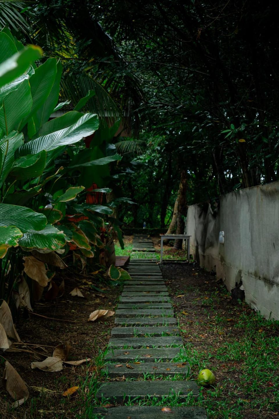 TempleTree Inn Bed and Breakfast in Varkala