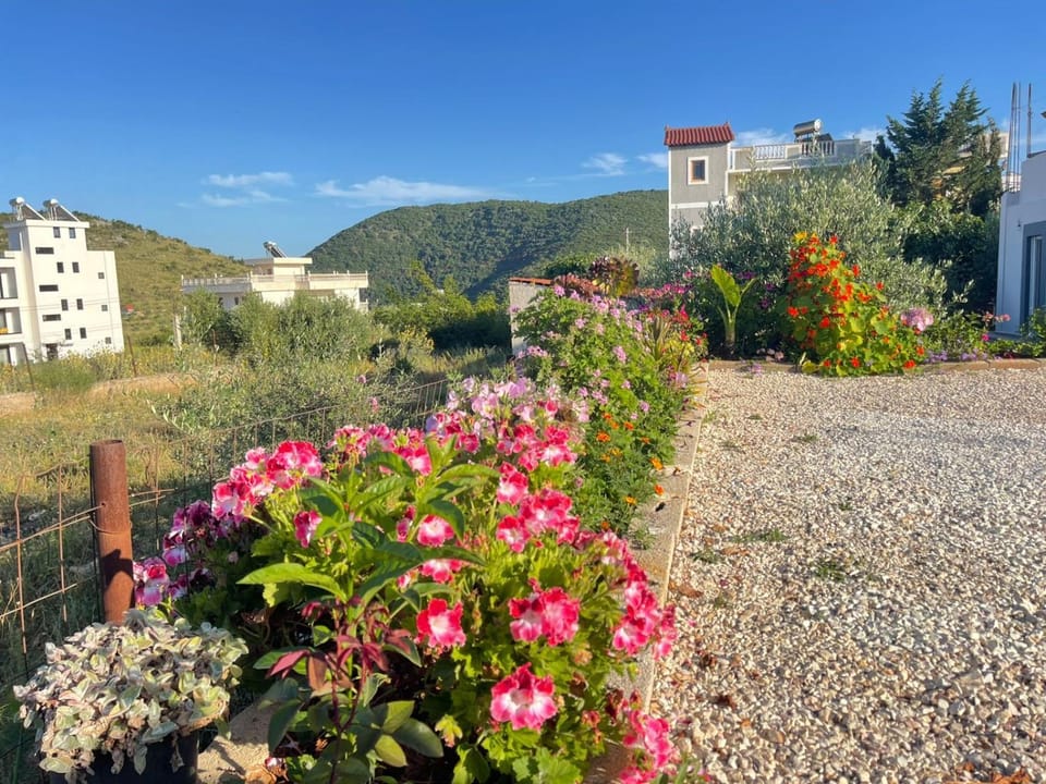 Property building, Natural landscape, Garden