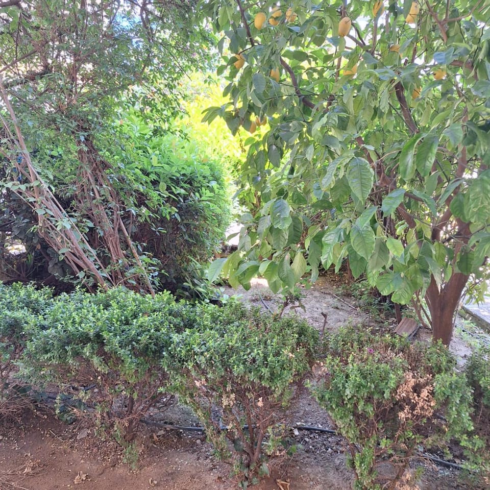 Haris-rest Apartment in North Athens Regional Unit, Greece