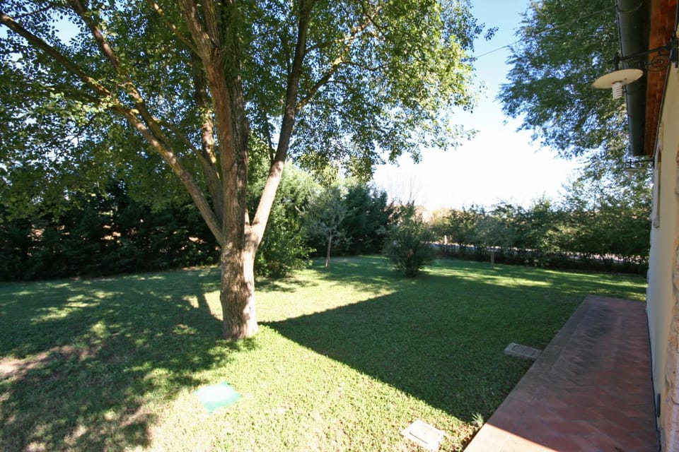 Garden, Garden view