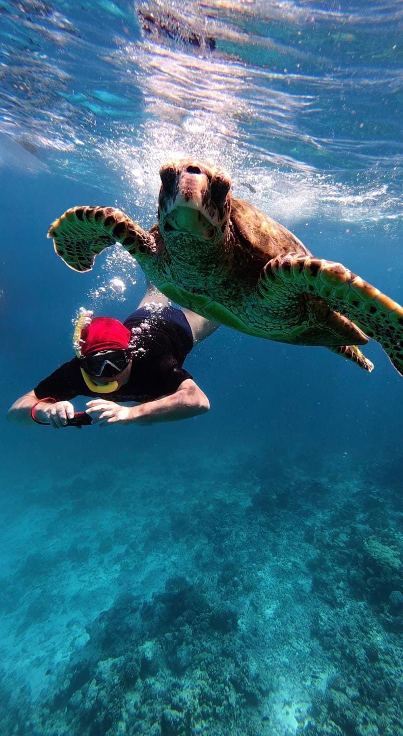 Snorkeling, Snorkeling
