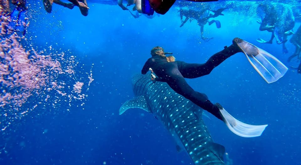 Activities, Snorkeling, Snorkeling