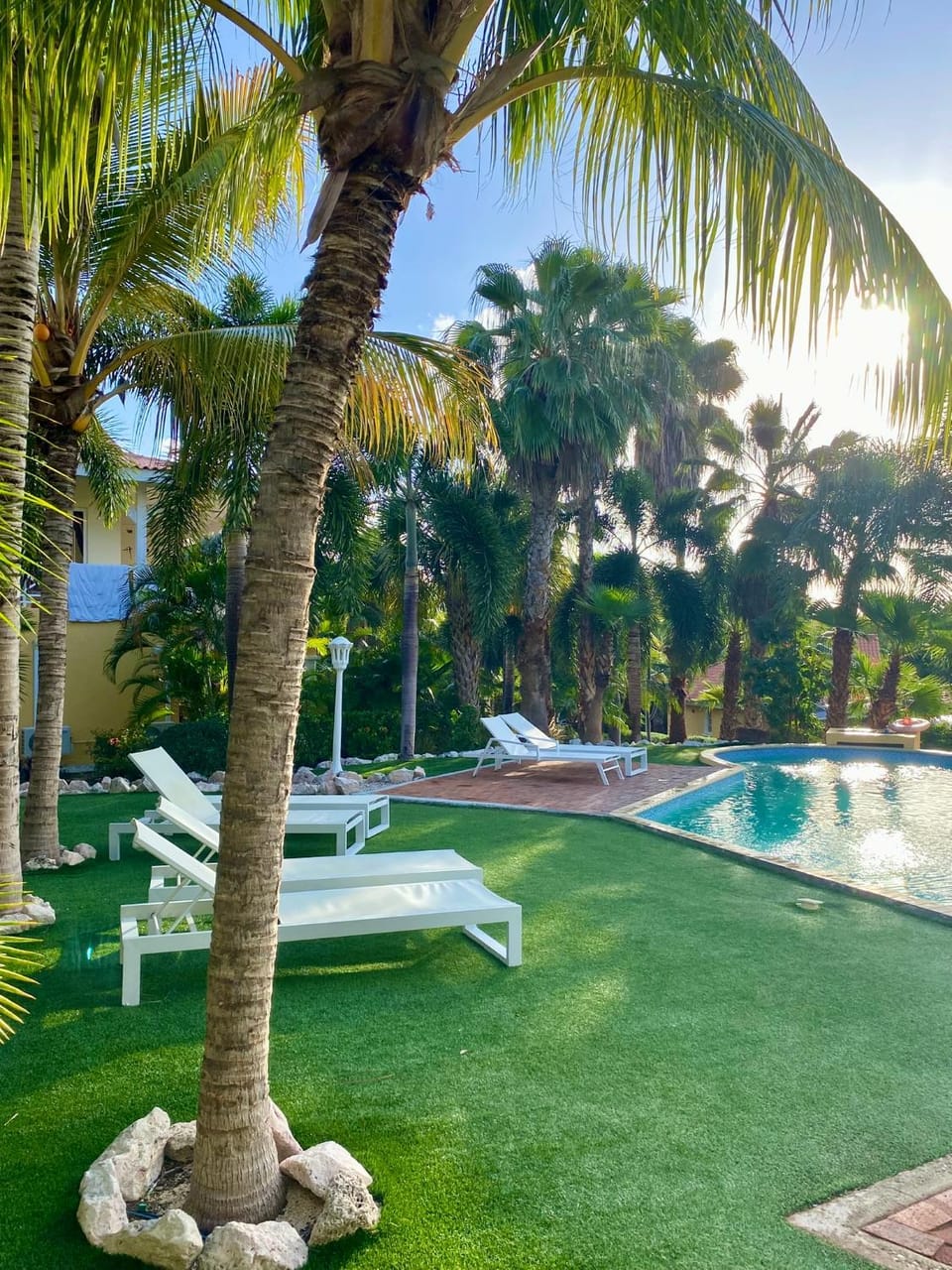 Natural landscape, Garden, Garden view, Pool view, Swimming pool, sunbed