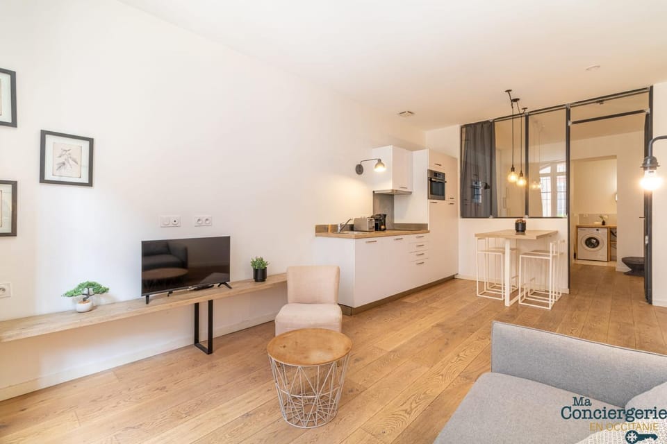DV1- Hypercentre Toulouse Jean Jaurès Climatisation Apartment in Toulouse