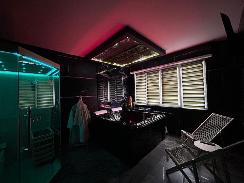 Le Prestige Spa jacuzzi et sauna traditionnel Apartment in Mulhouse