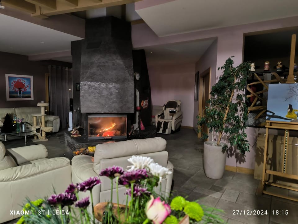 Communal lounge/ TV room, Living room, Seating area, fireplace