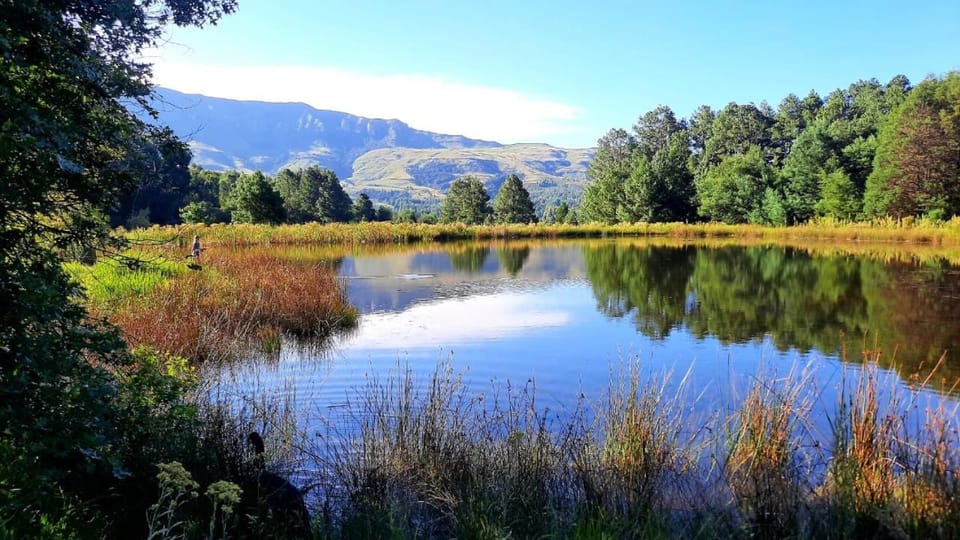Wild Hunters Cabin at Drakensberg International Backpackers Cabin in KwaZulu-Natal