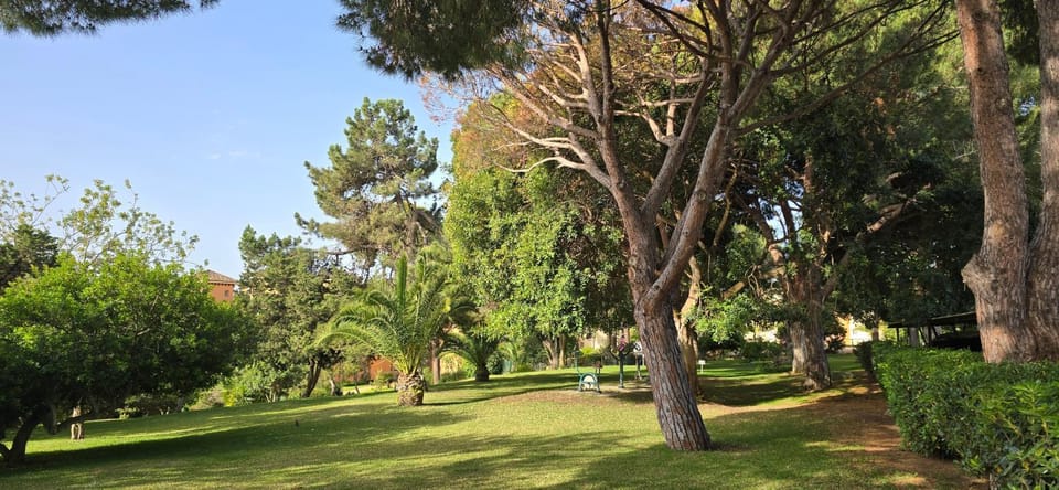 Natural landscape, Garden, Garden view