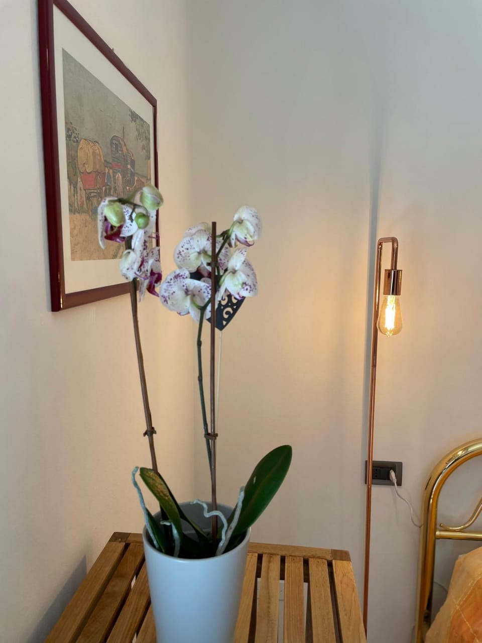 Armonia Affittacamere Bed and Breakfast in Emilia-Romagna