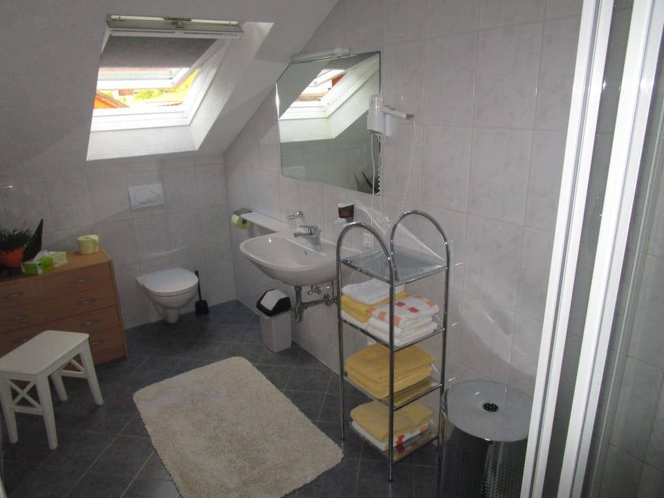 Shower, Toilet