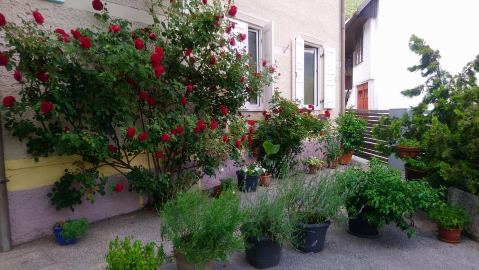 Facade/entrance, Garden