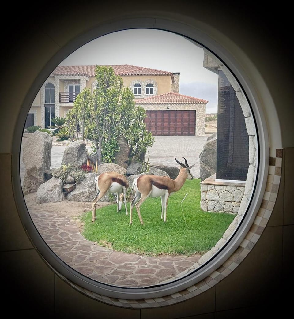 Day, Animals
