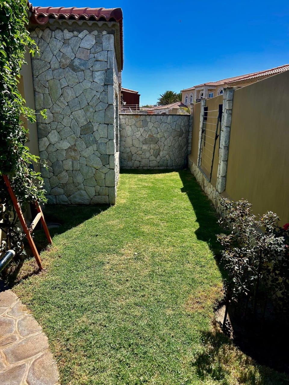 Spring, Day, Garden, Garden view