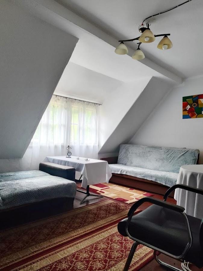 BAZA WYPADOWA 5km na Wielką Sowę! Przy strumyku z wyposażoną kuchnią Apartment in Lower Silesian Voivodeship