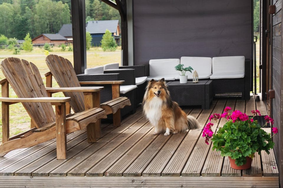 pet friendly