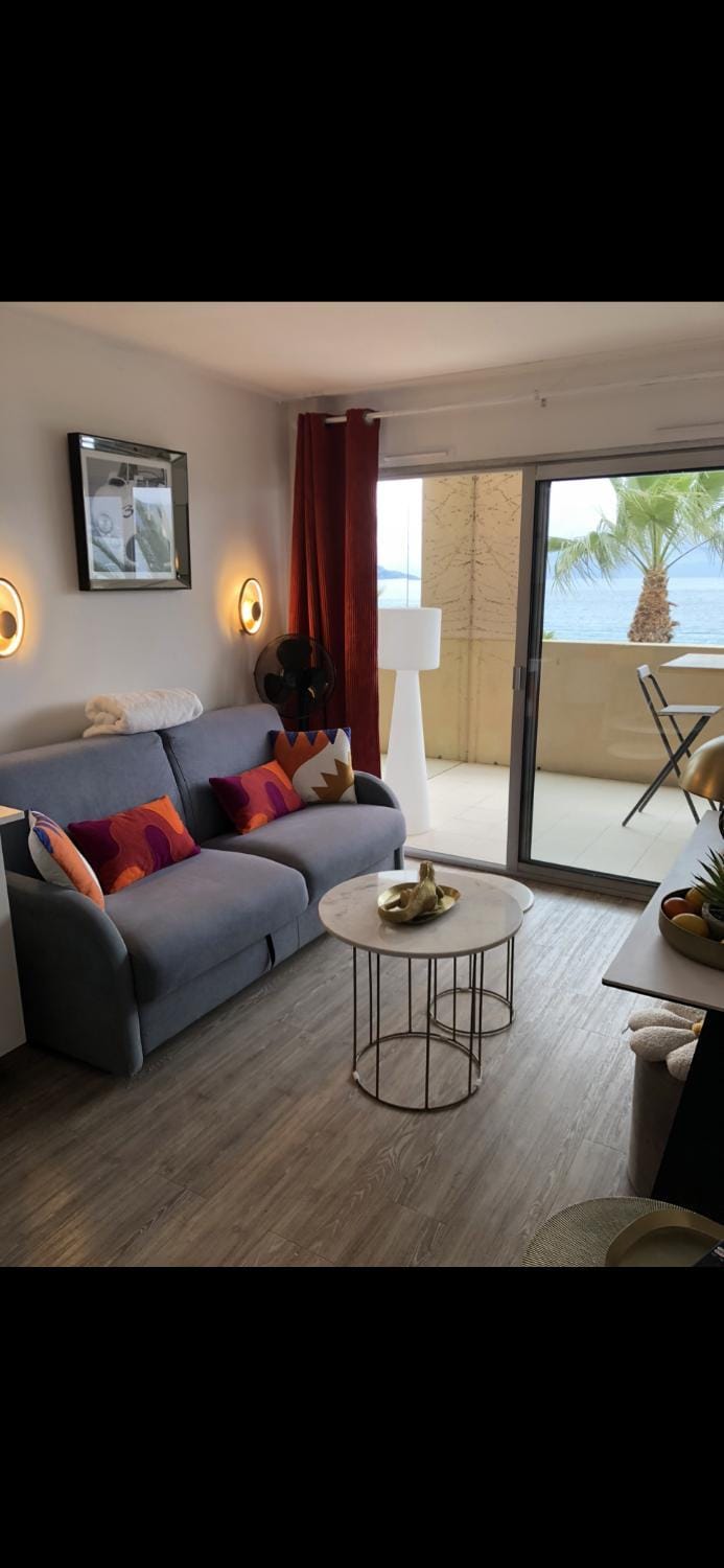 Charme Apartment in Cannes
