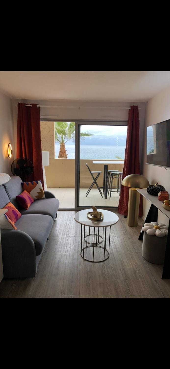 Charme Apartment in Cannes
