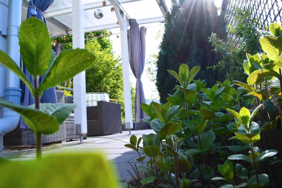 Property building, Garden, Garden view