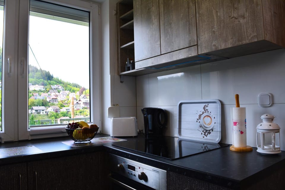 Coffee/tea facilities, Kitchen or kitchenette, City view, Mountain view, stove, toaster