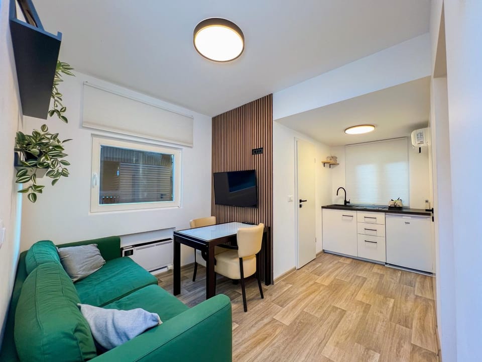 TV and multimedia, Kitchen or kitchenette, Living room, Photo of the whole room, Seating area, Dining area, pet friendly