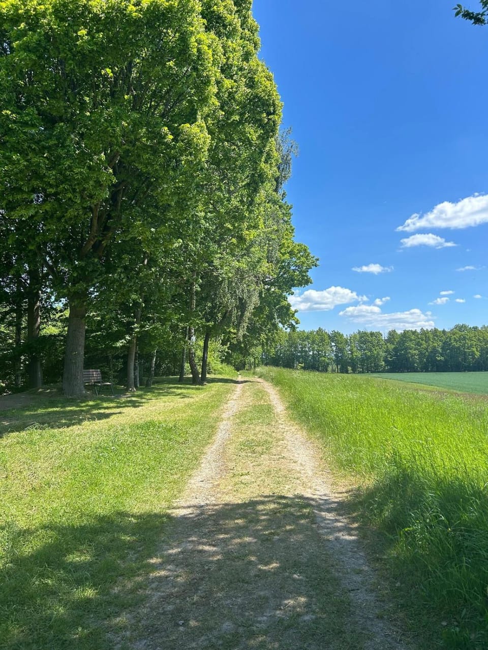 Natural landscape