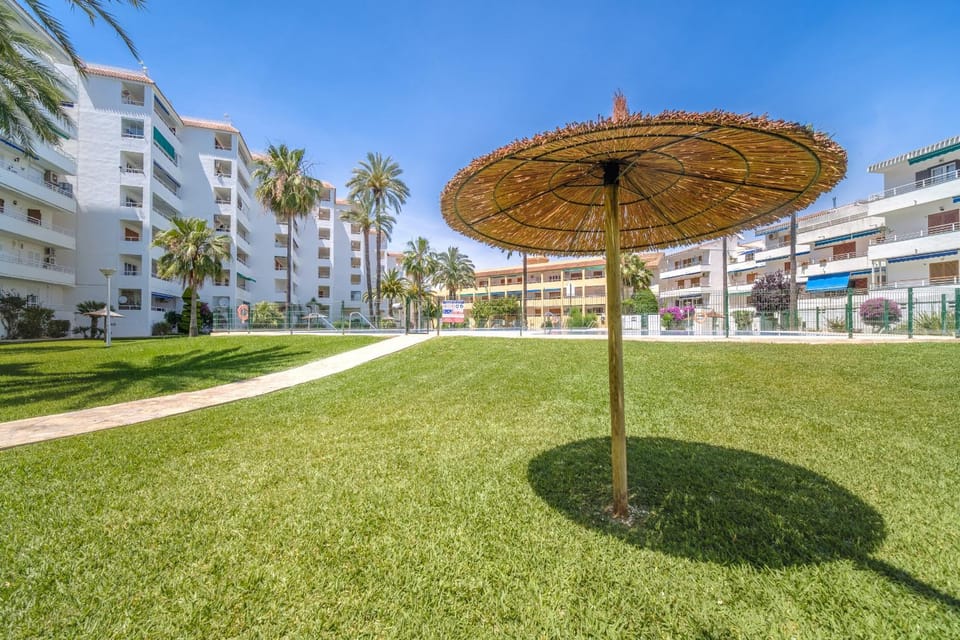 Patio, Garden, Garden view