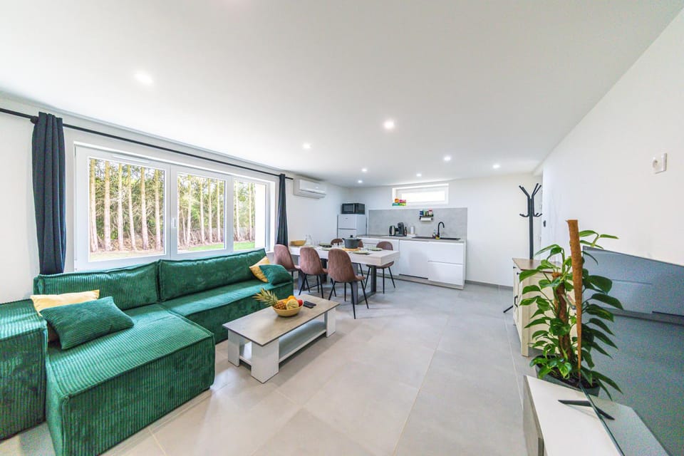 TV and multimedia, Living room, Garden view, air conditioner