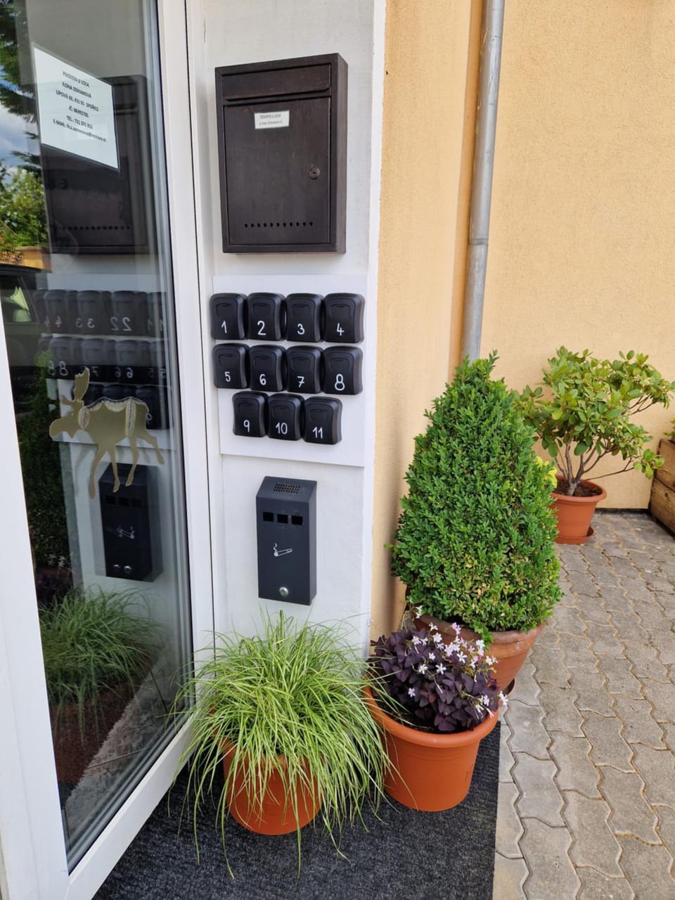 penzion U losa Bed and Breakfast in Erzgebirgskreis