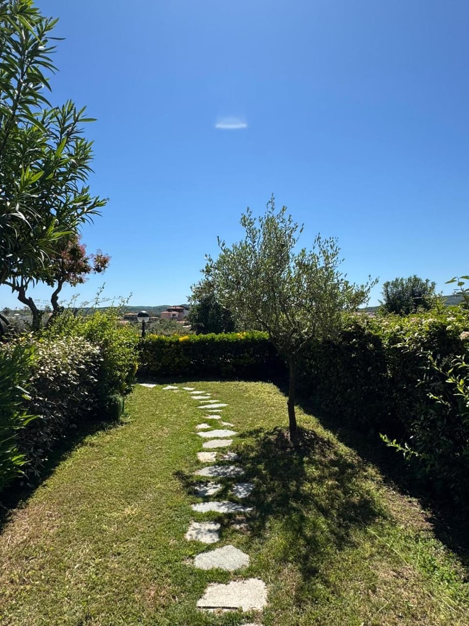 Porto San Paolo Mono apartment Apartment in Sardinia