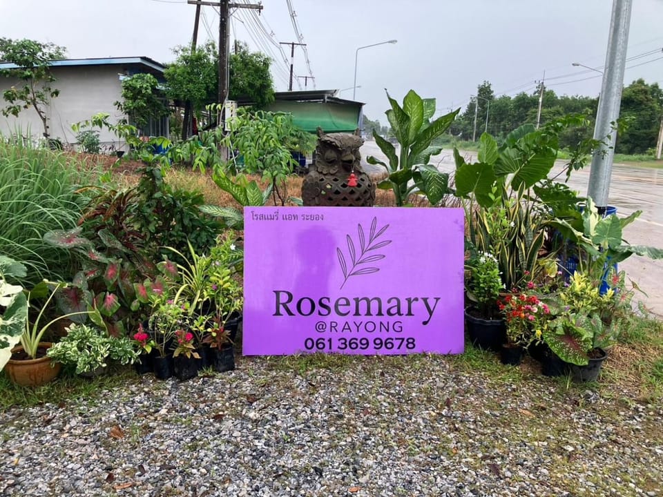 Logo/Certificate/Sign, Logo/Certificate/Sign