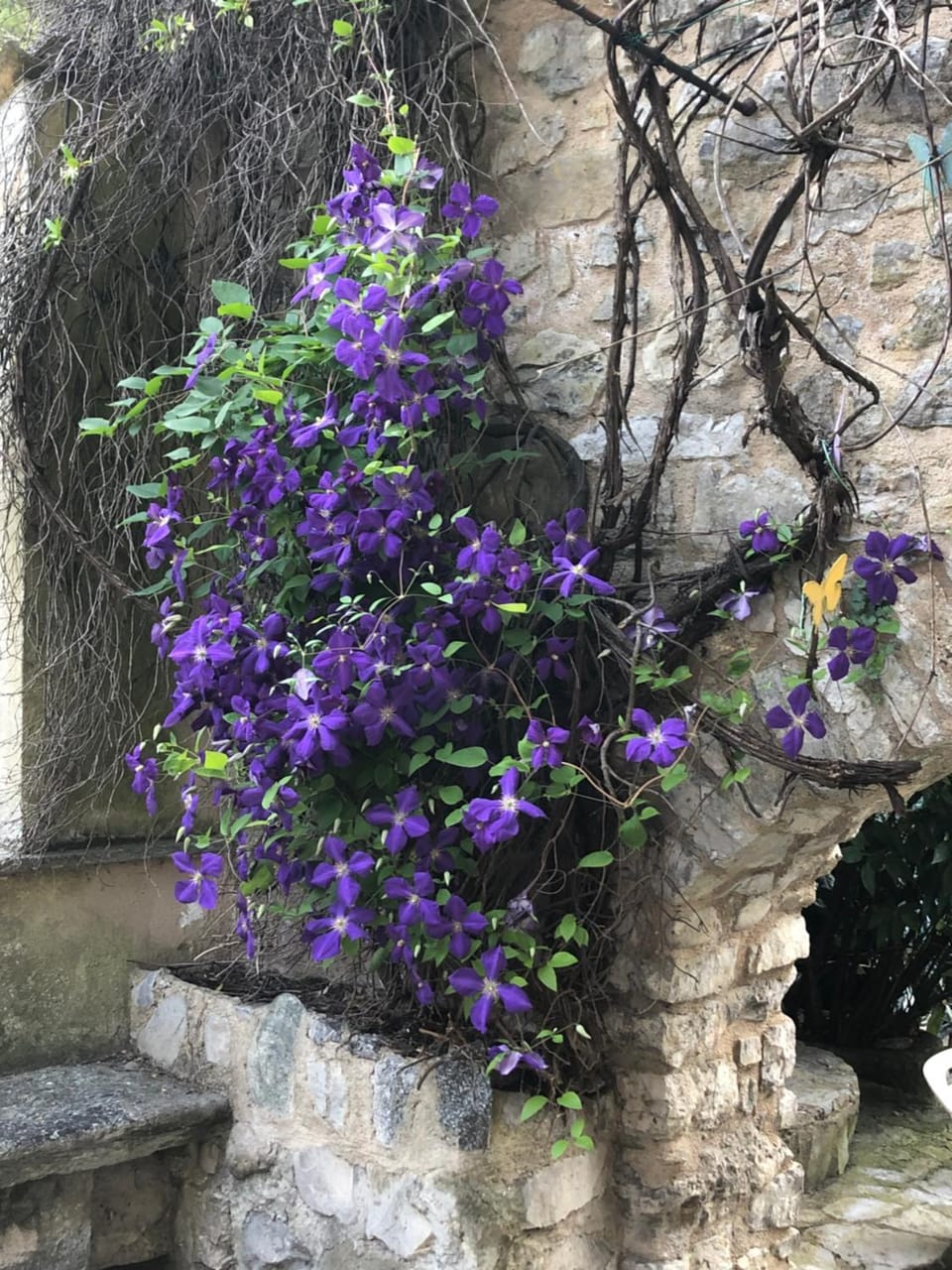 Molino Valsecchi 1369 Vacation rental in Province of Lecco