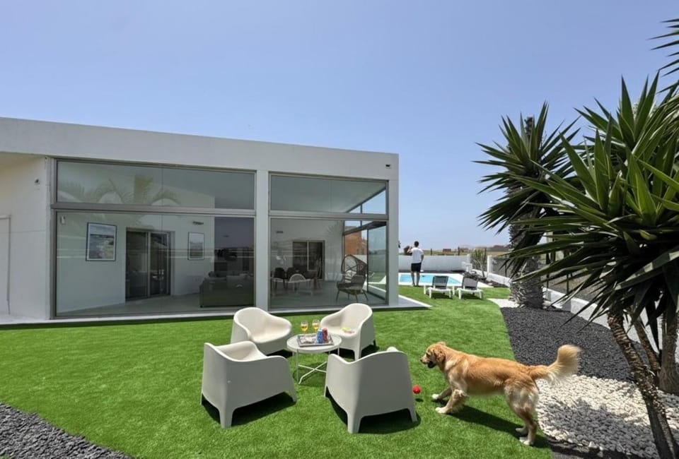 Garden, Pets, sunbed