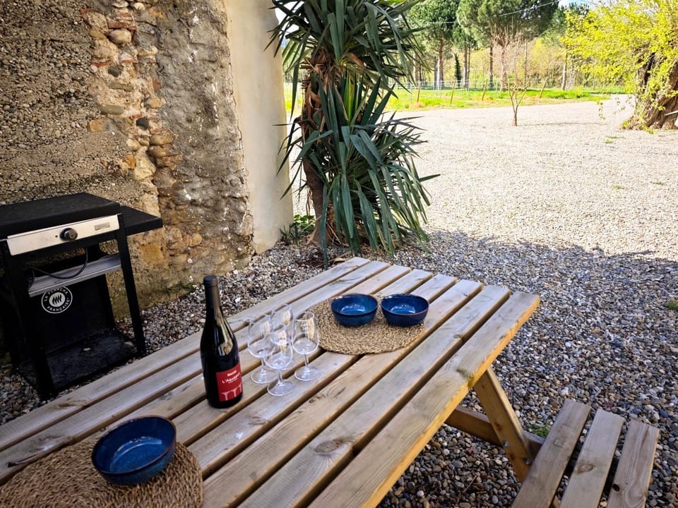 La Maison de l'Aqueduc - Séjour au cœur des vignes - House in Occitanie