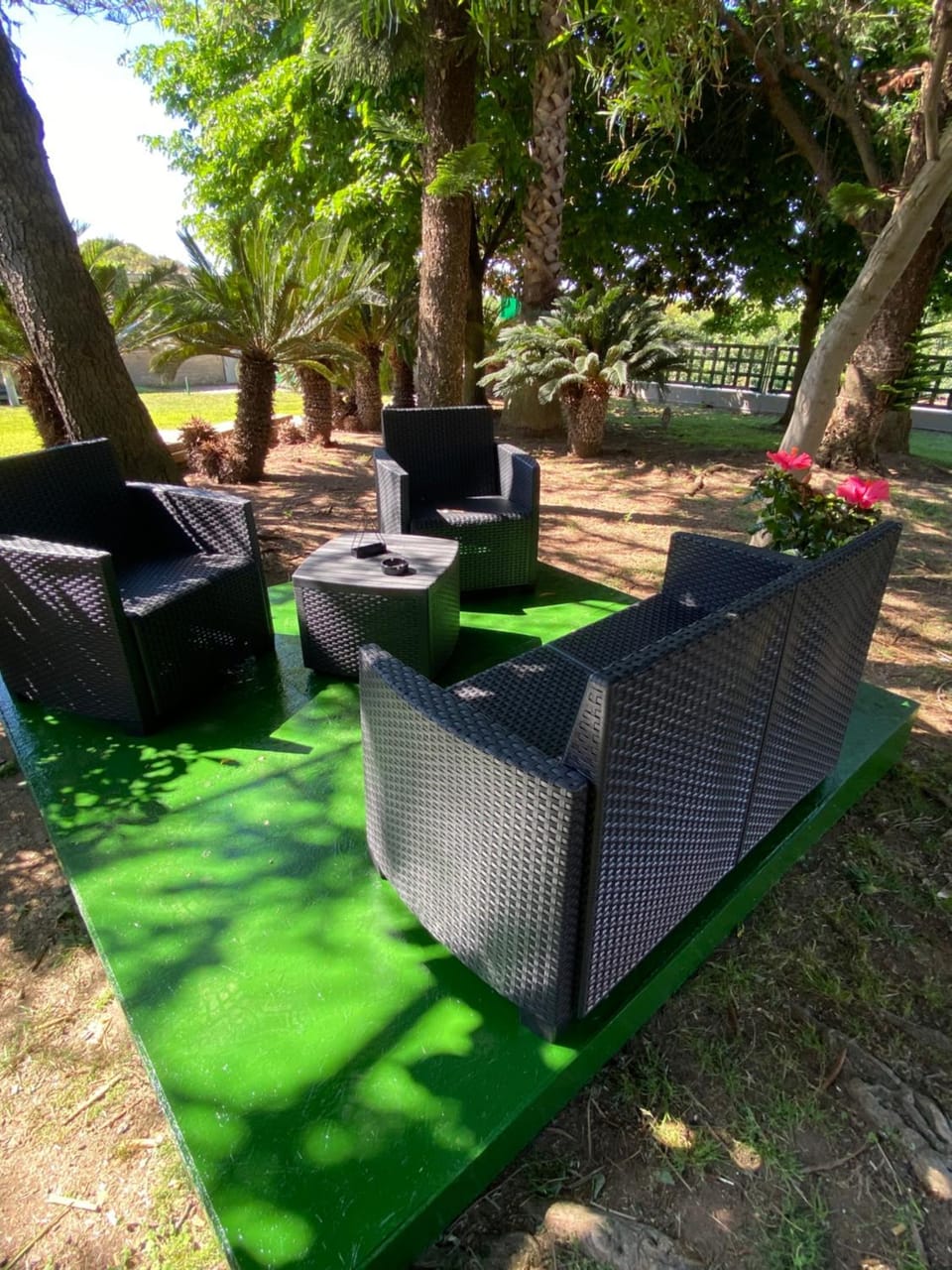 Natural landscape, Garden, Garden view