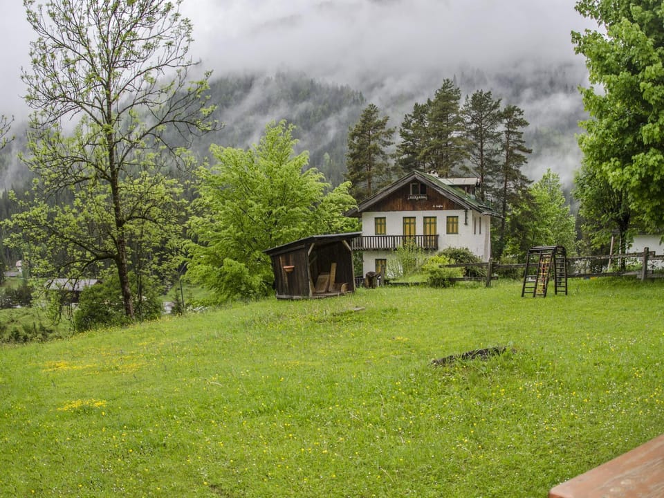 Patio, Garden, Garden view