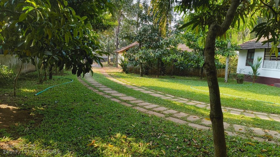 Day, Natural landscape, Garden, Garden view