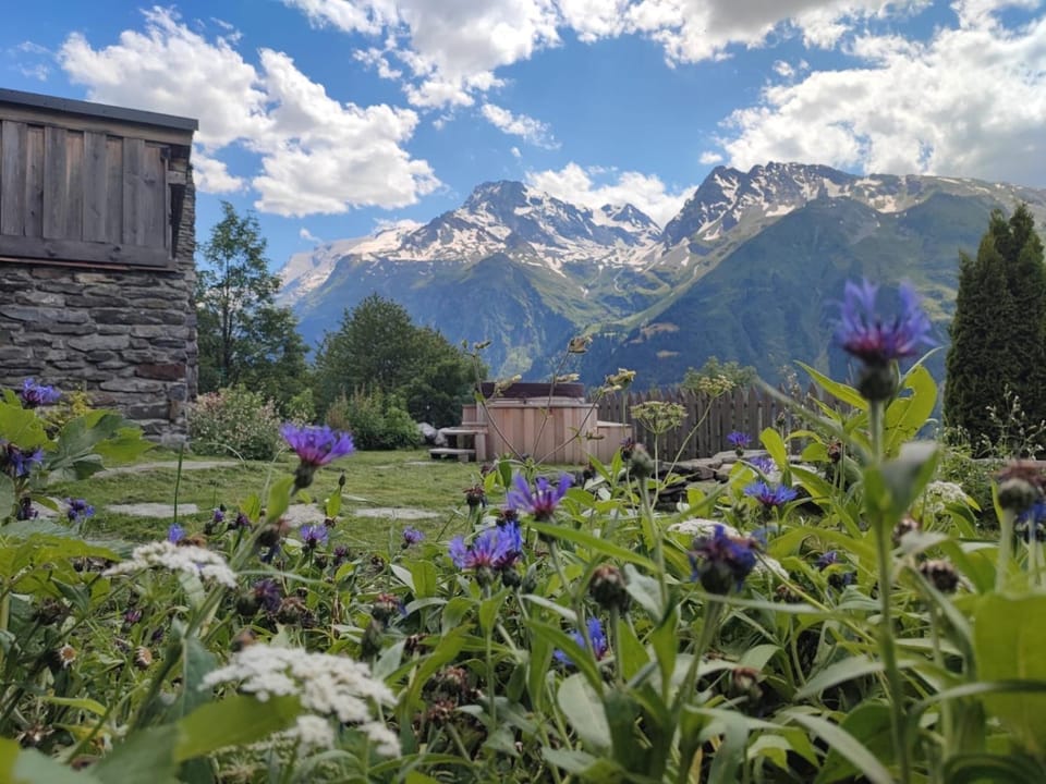 Spring, Day, Natural landscape, Garden, Garden view, Mountain view