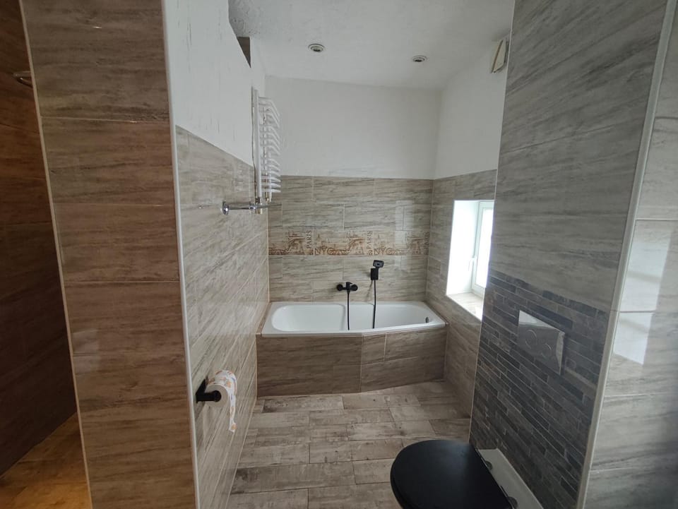 Ferienwohnung im Herzen des Lausitzer Seenlandes Apartment in Saxony