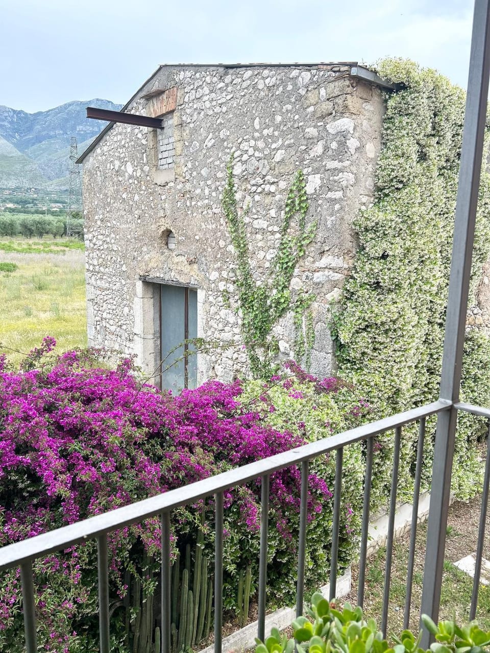 Natural landscape