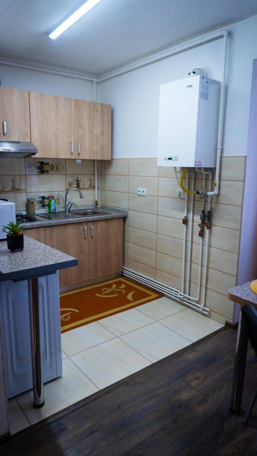 Violeta Apartament Apartment in Romania