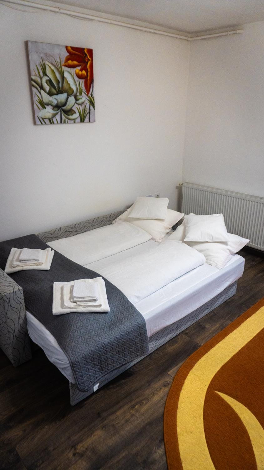 Violeta Apartament Apartment in Romania