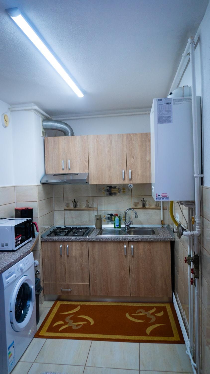 Violeta Apartament Apartment in Romania