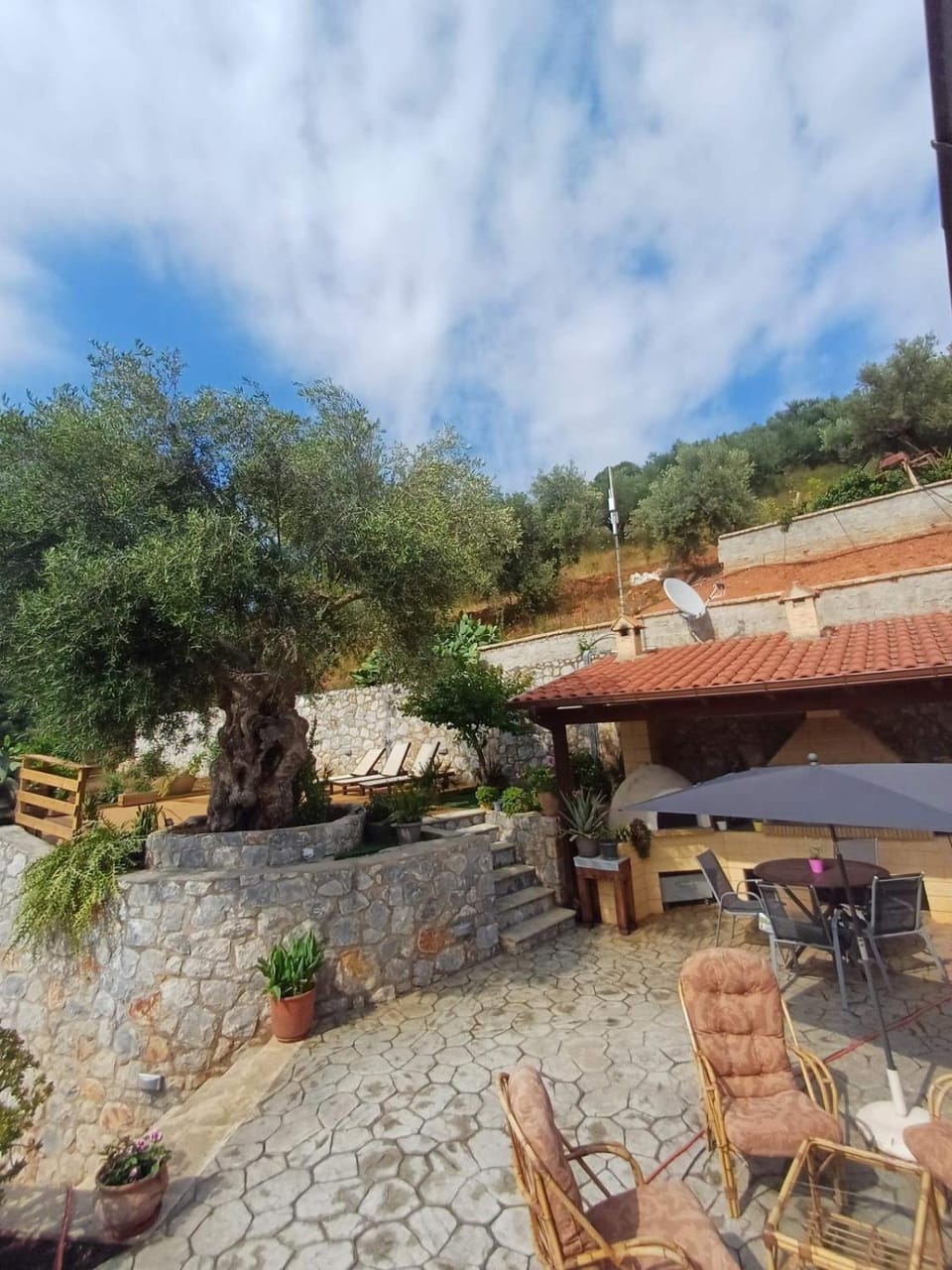 Olive Stone Apartment in Crete