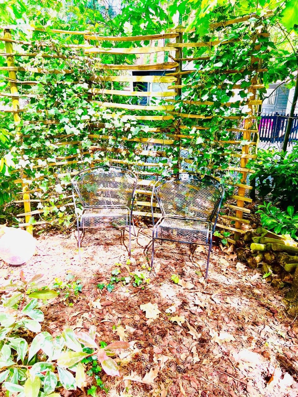 Day, Garden