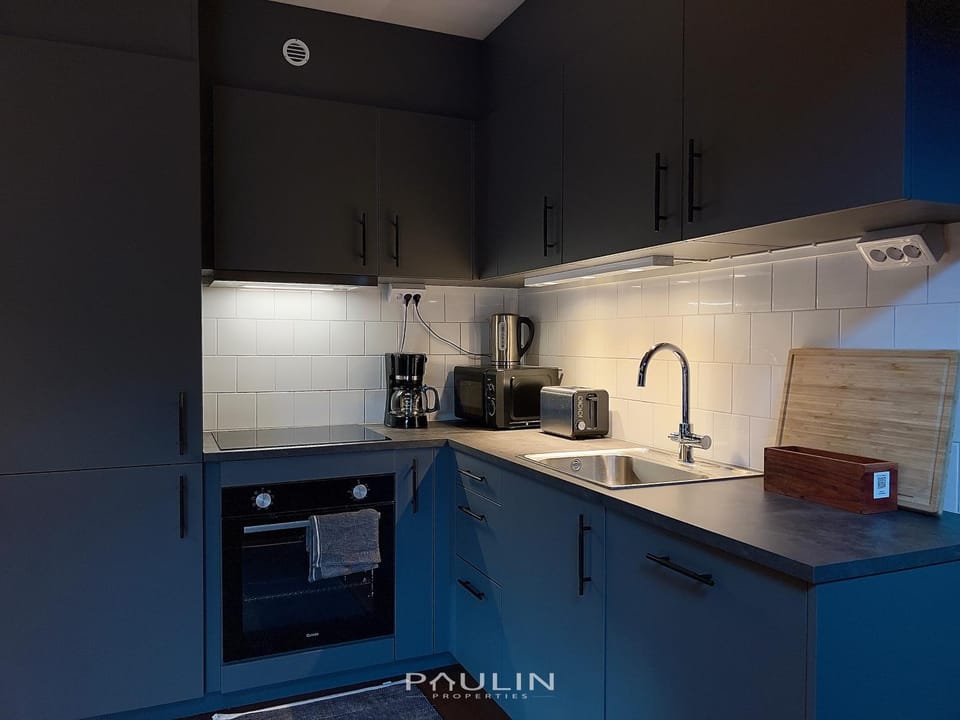 Kitchen or kitchenette, dishwasher, stove, toaster